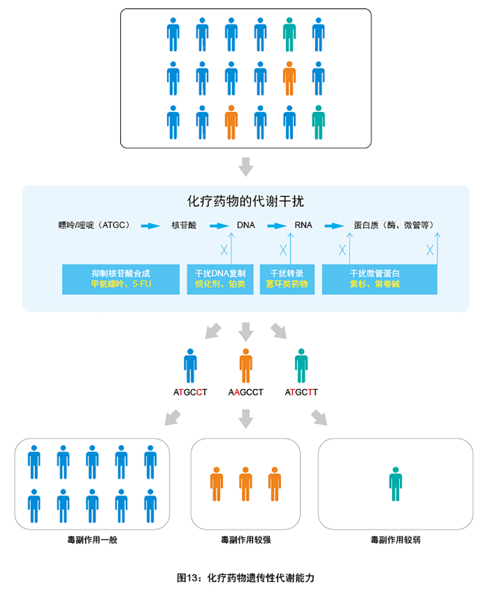 血液病基因检测